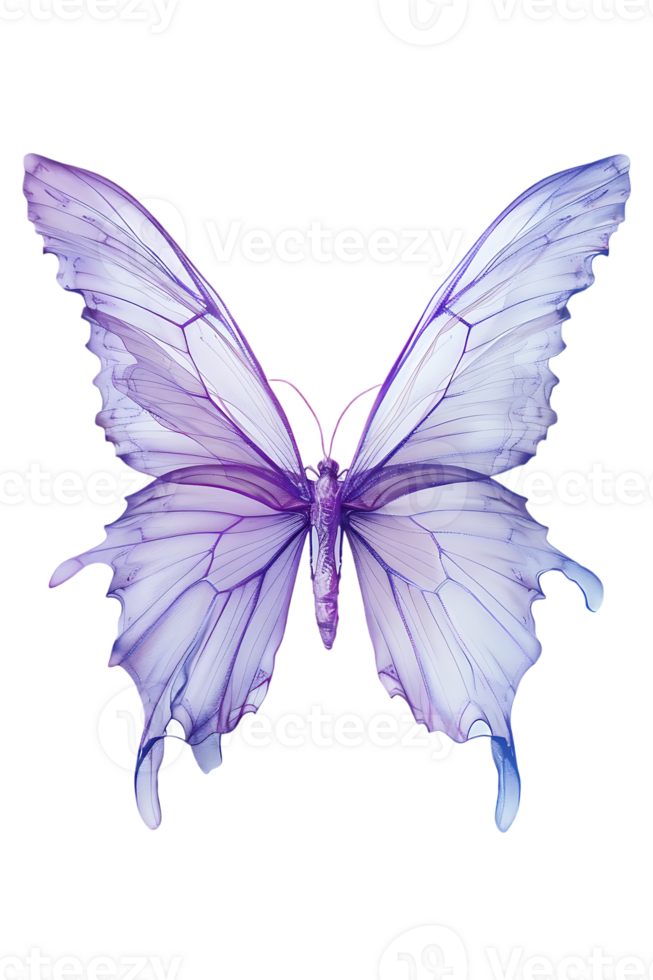 Fairy wings, isolated against a transparent background png