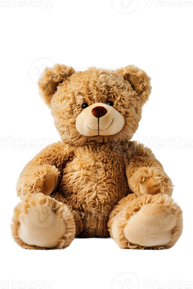 fluffy teddy bear isolated against a transparent background png