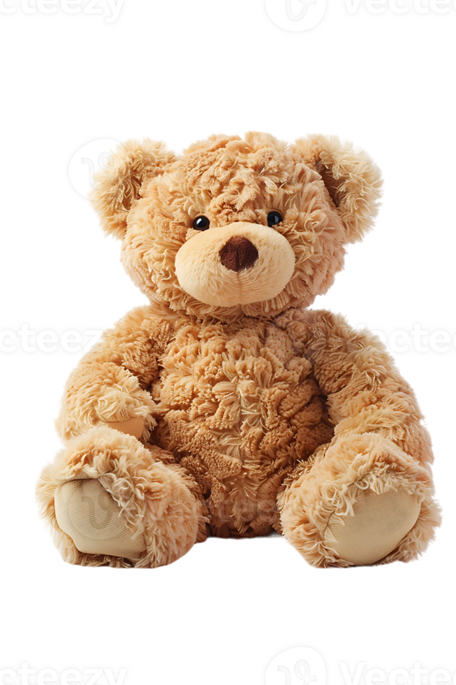 fluffy teddy bear isolated against a transparent background png