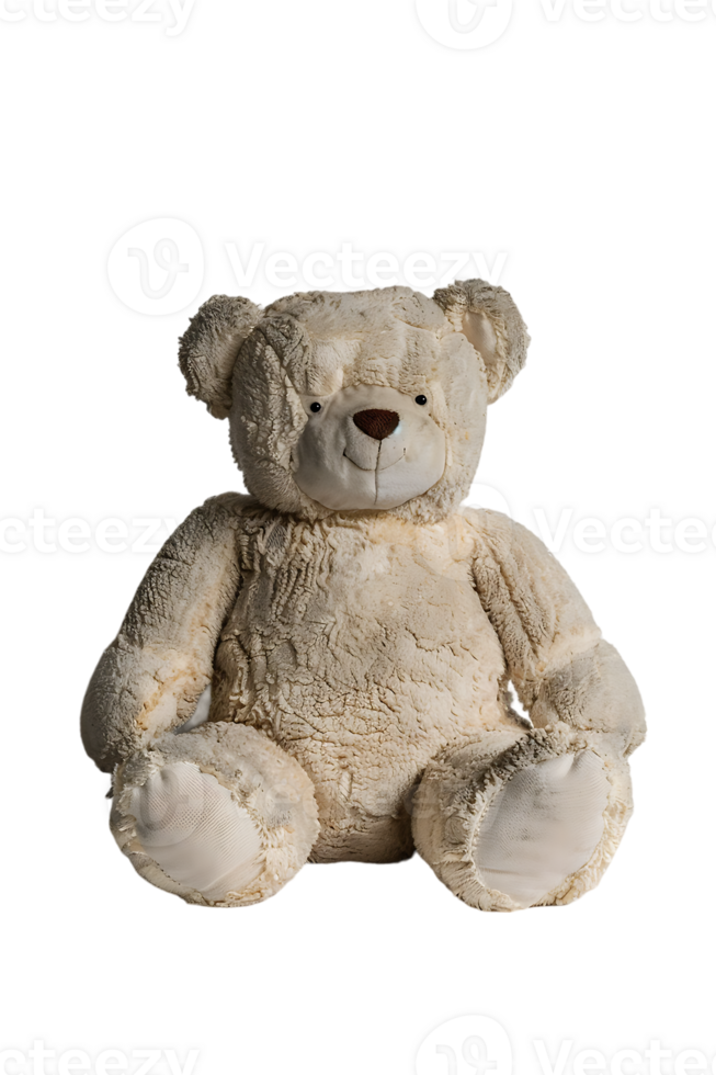 fluffy teddy bear isolated against a transparent background png