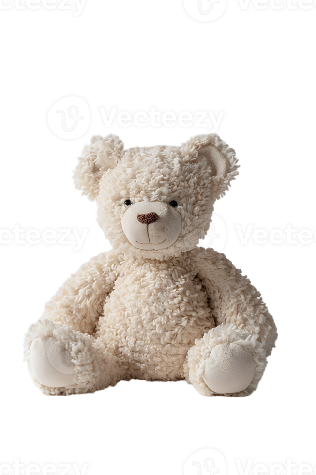 fluffy teddy bear isolated against a transparent background png