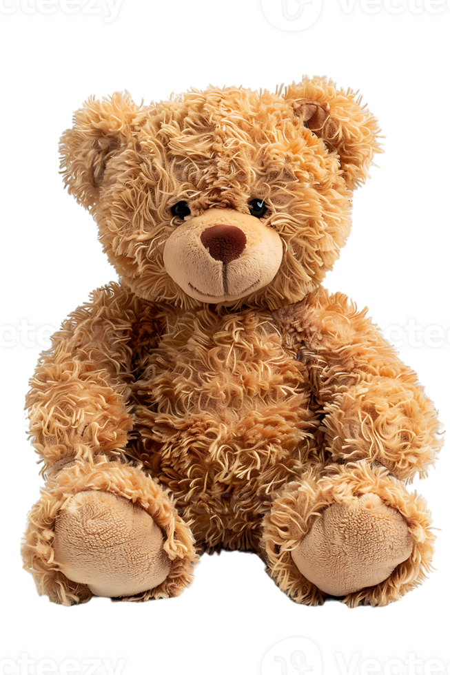 fluffy teddy bear isolated against a transparent background png