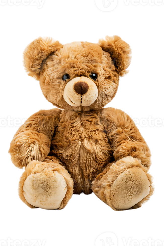 fluffy teddy bear isolated against a transparent background png