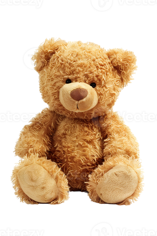 fluffy teddy bear isolated against a transparent background png