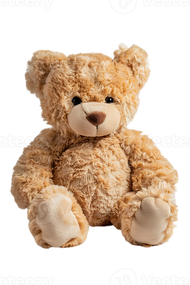 fluffy teddy bear isolated against a transparent background png