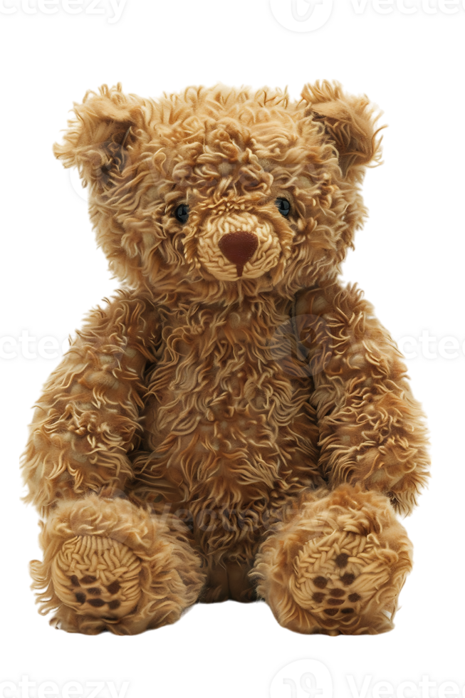 fluffy teddy bear isolated against a transparent background png