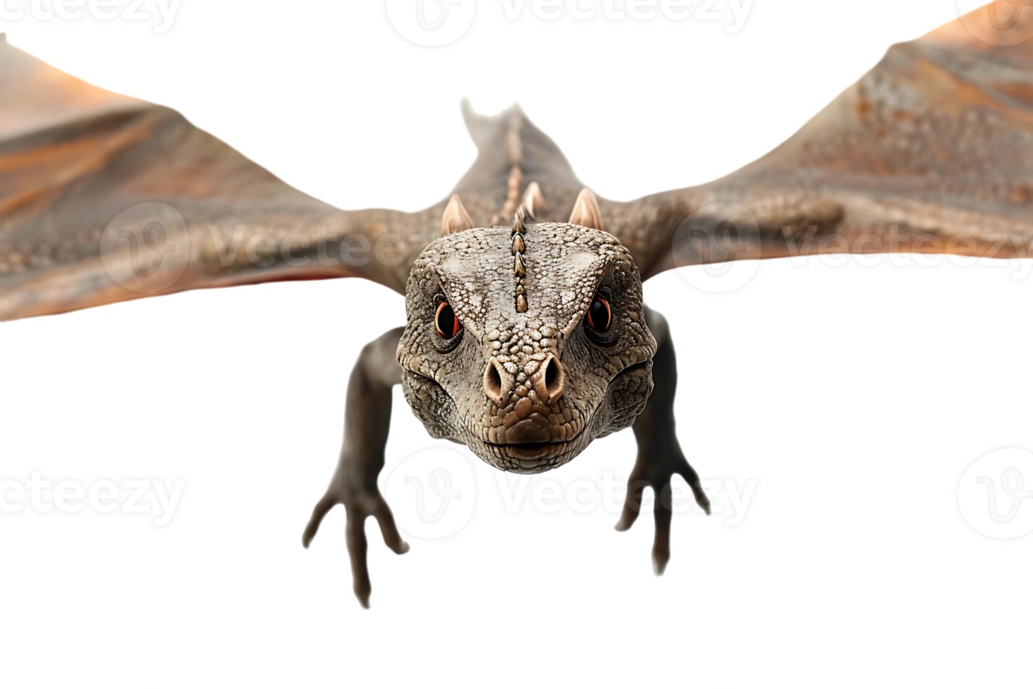 flying dragon from the front view, isolated against a transparent background png