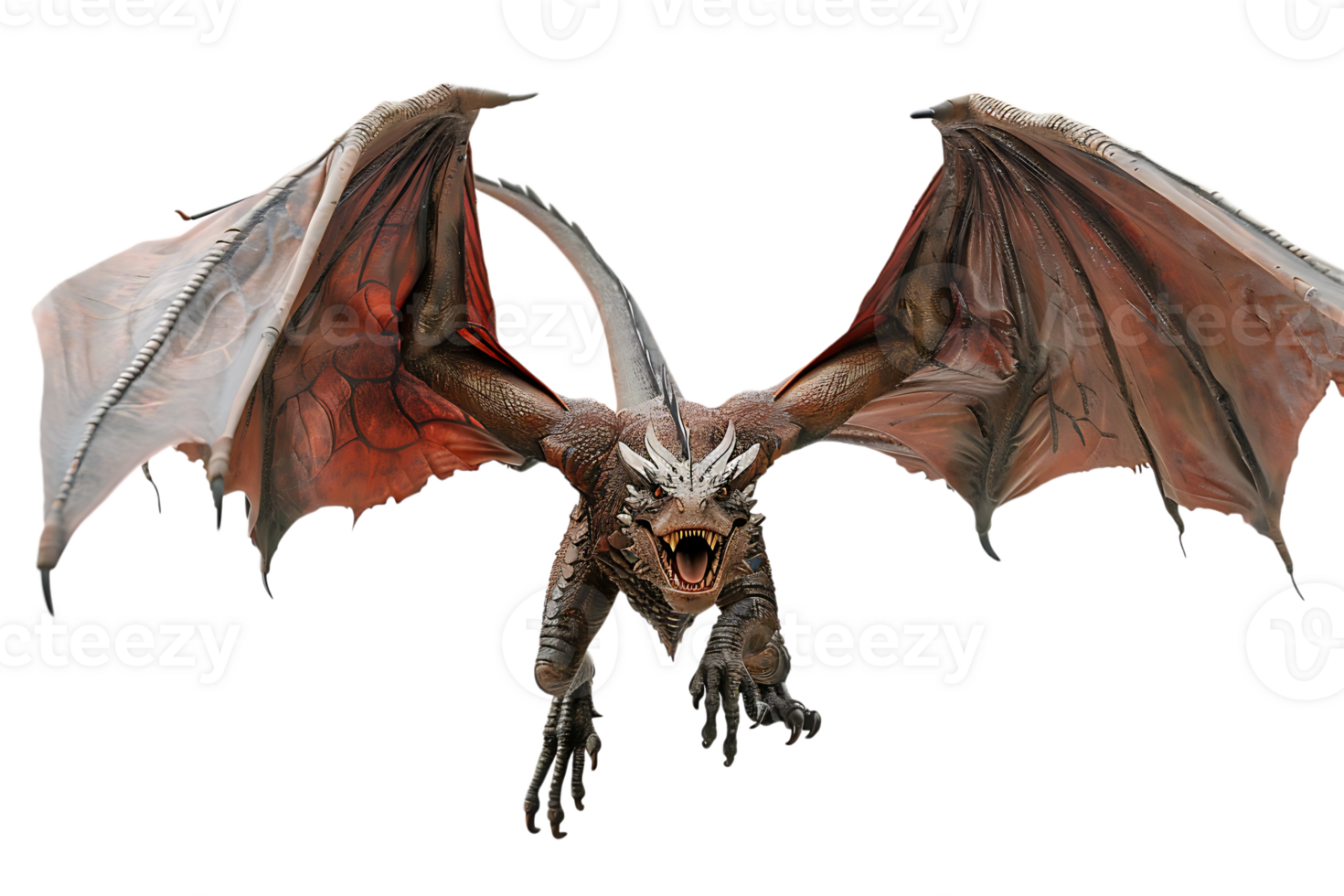flying dragon from the front view, isolated against a transparent background png