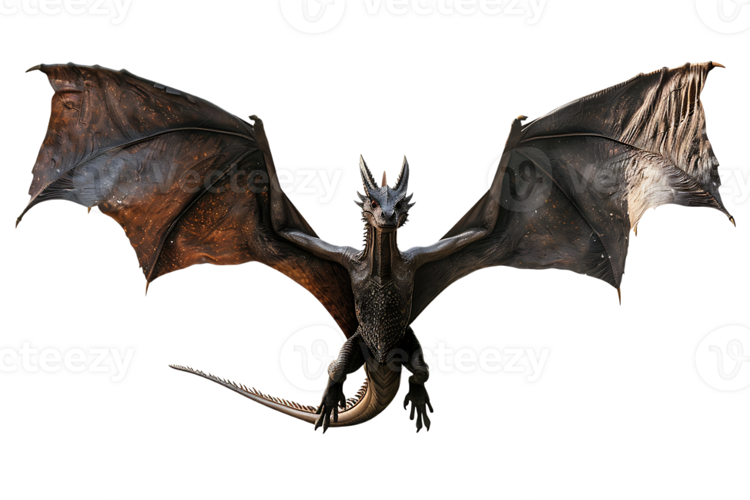 flying dragon from the front view, isolated against a transparent background png
