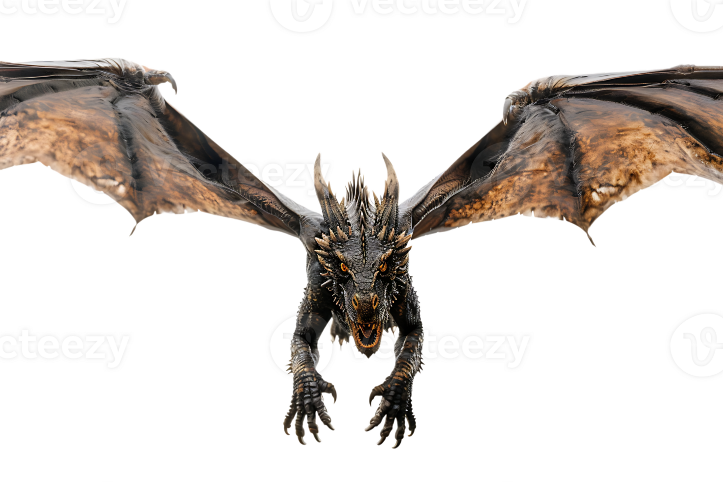 flying dragon from the front view, isolated against a transparent background png