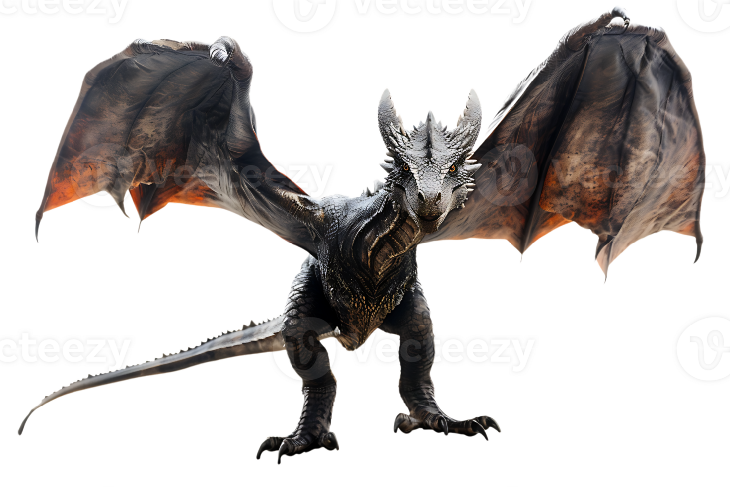 flying dragon from the front view, isolated against a transparent background png