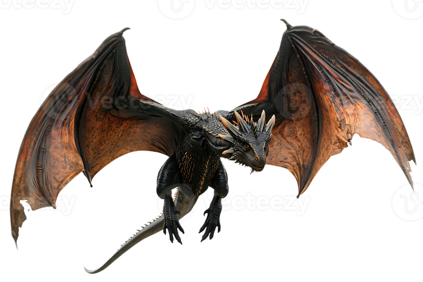 flying dragon from the front view, isolated against a transparent background png
