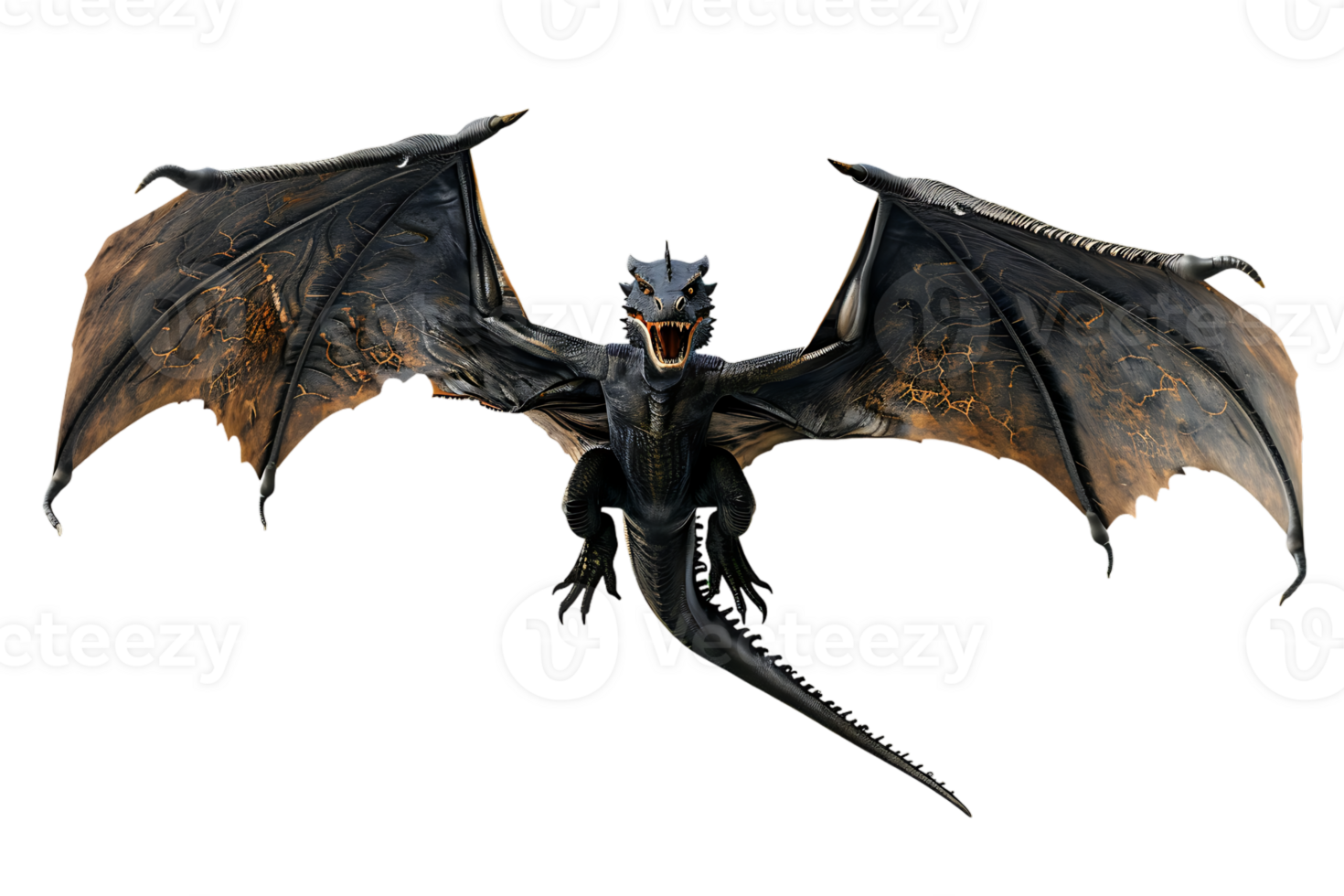 flying dragon from the front view, isolated against a transparent background png