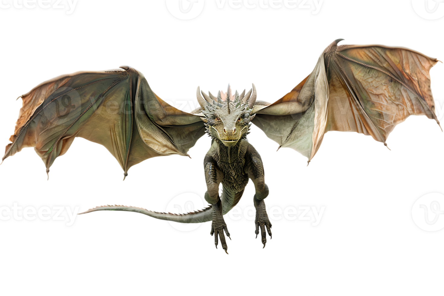 flying dragon from the front view, isolated against a transparent background png