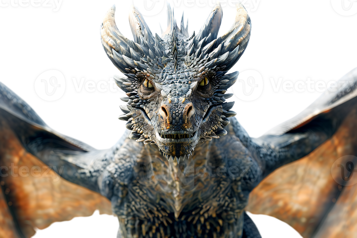 flying dragon from the front view, isolated against a transparent background png