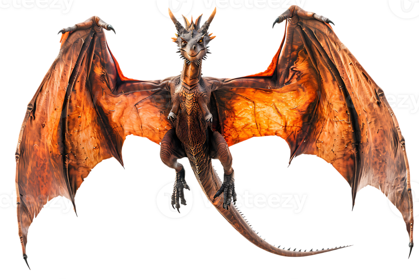 flying dragon from the front view, isolated against a transparent background png