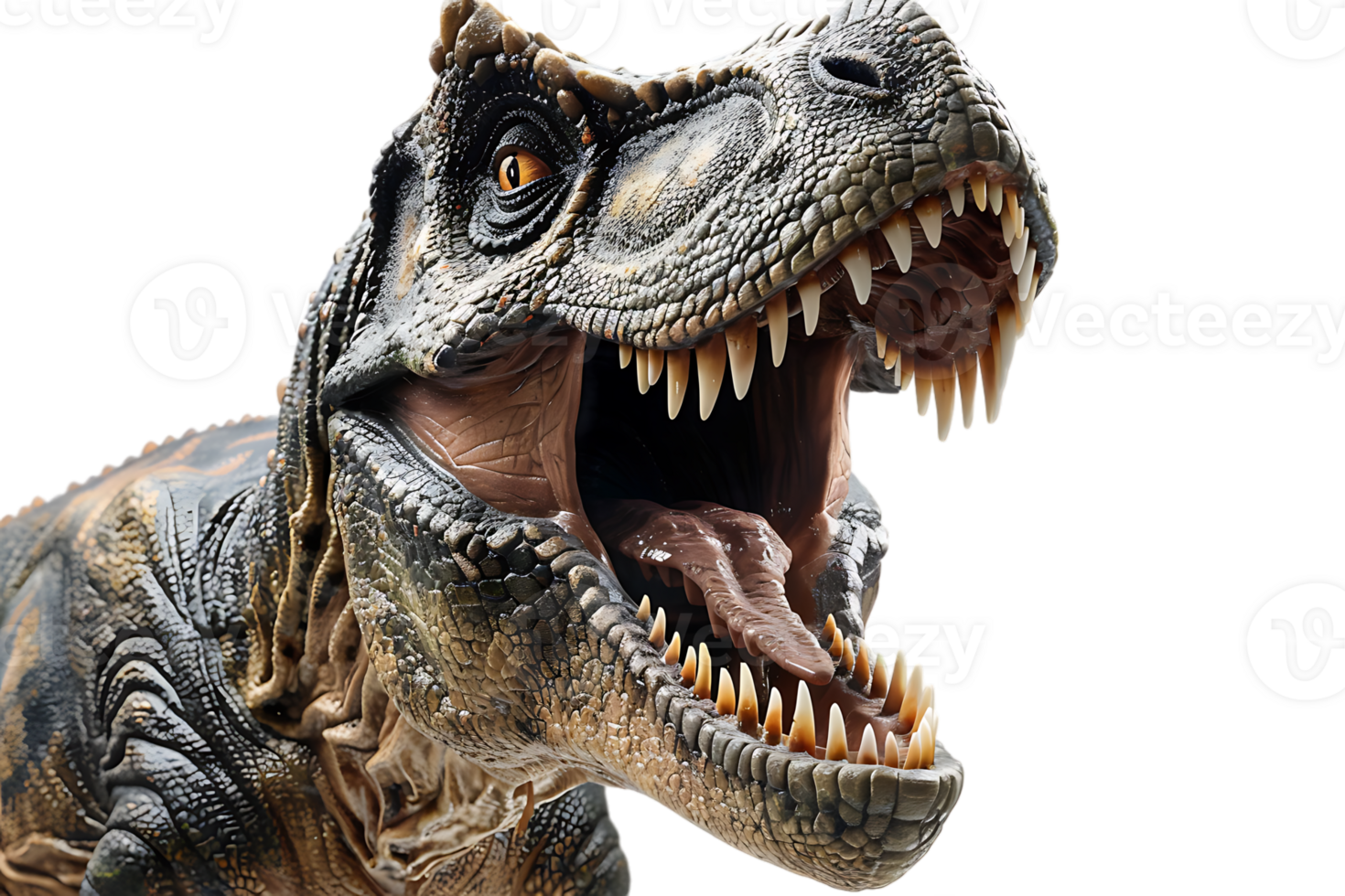 furious Tyrannosaurus Rex, standing alone against a transparent backdrop png