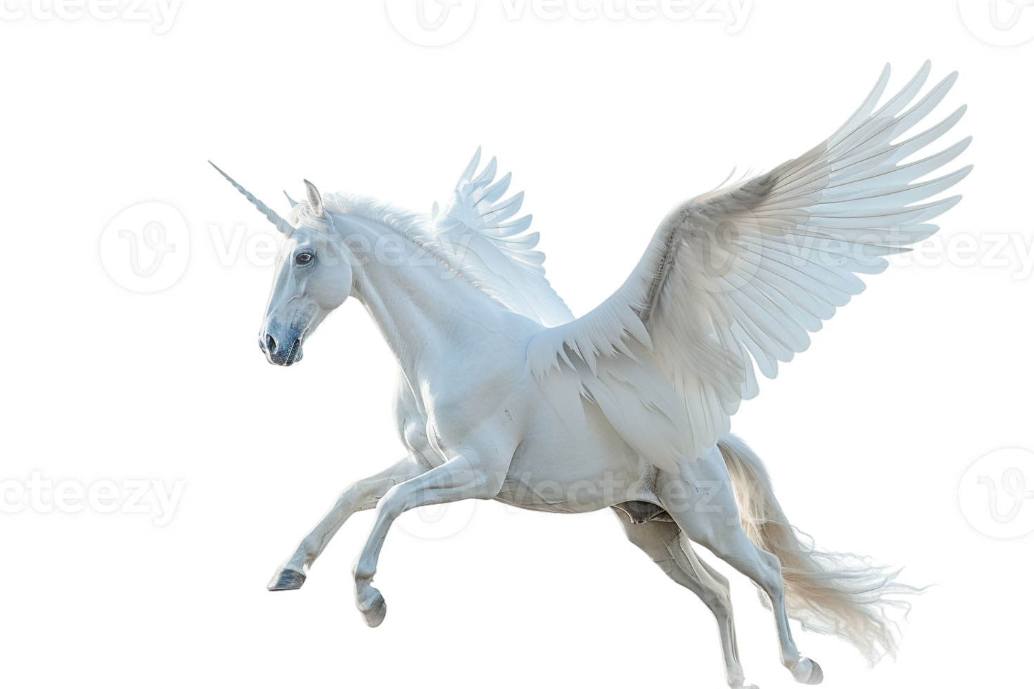 Pegasus flying, isolated against a transparent background png