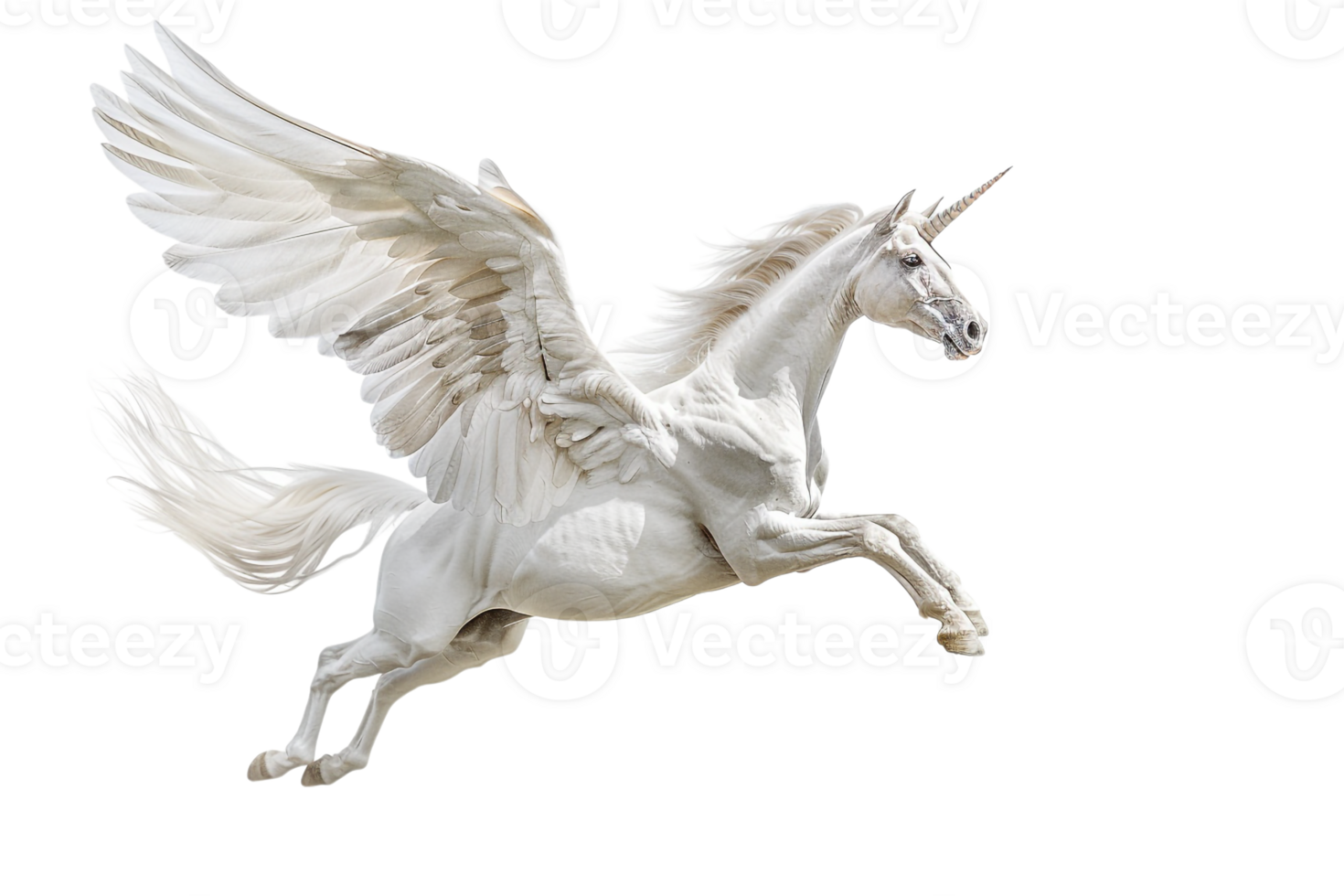Pegasus flying, isolated against a transparent background png
