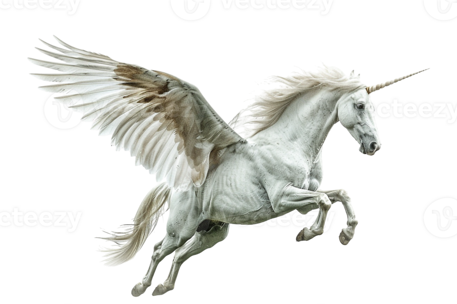 Pegasus flying, isolated against a transparent background png