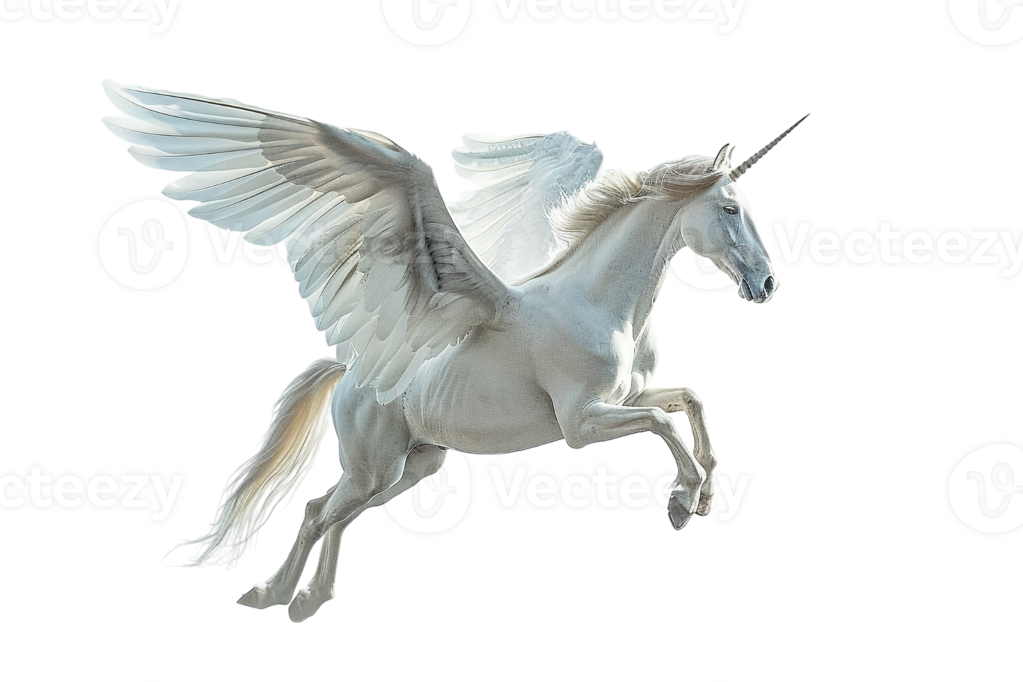 Pegasus flying, isolated against a transparent background png