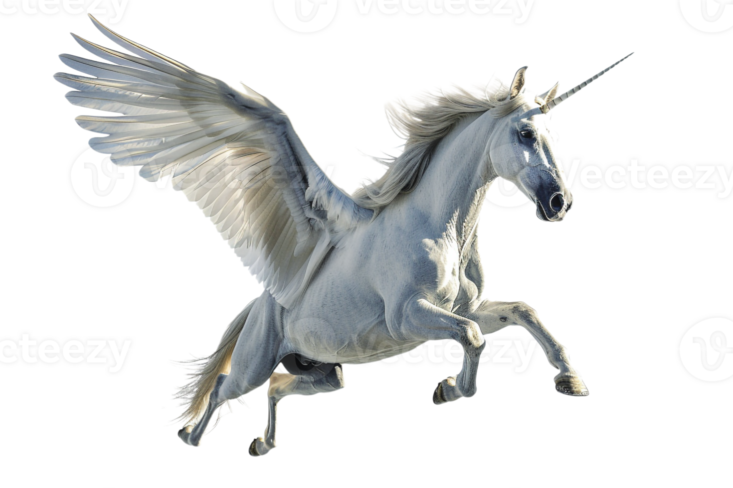Pegasus flying, isolated against a transparent background png