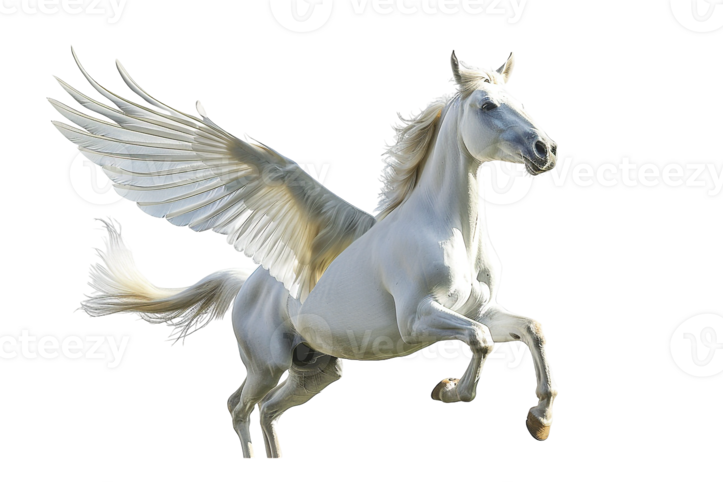 Pegasus flying, isolated against a transparent background png