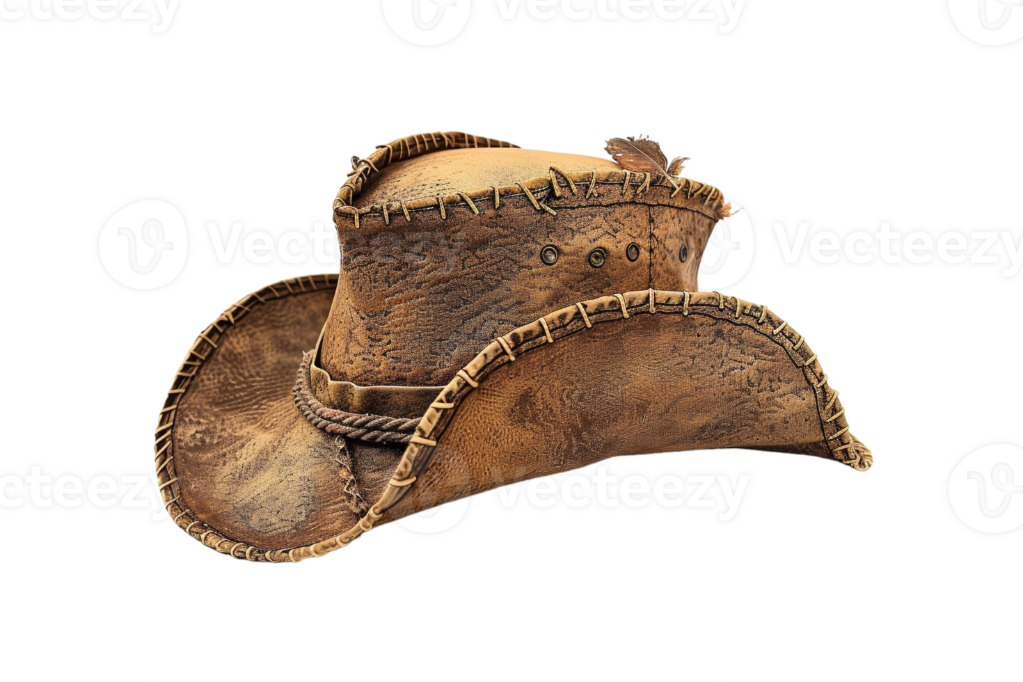 pirate hat isolated against a transparent background png