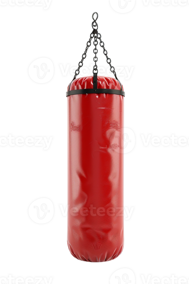Punching bag, isolated against a transparent background png