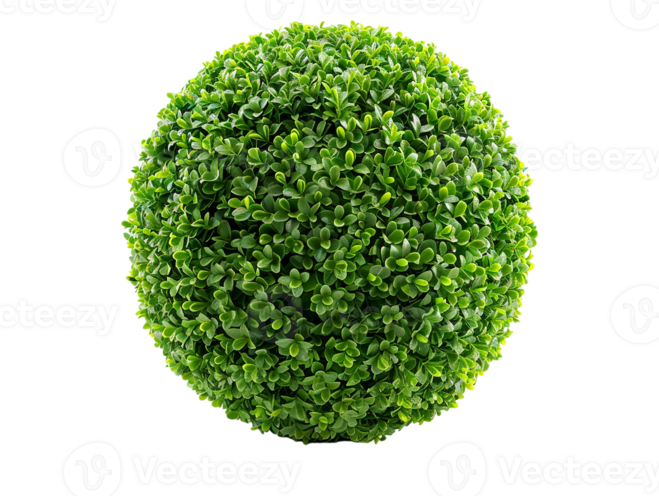 spherical topiary isolated against a transparent background png