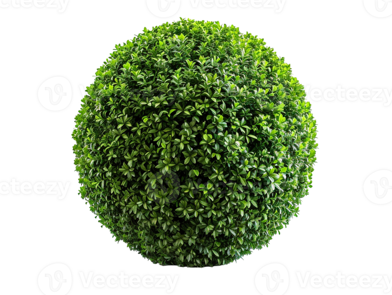 spherical topiary isolated against a transparent background png