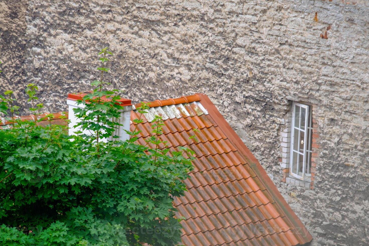 tallinn in estonia photo
