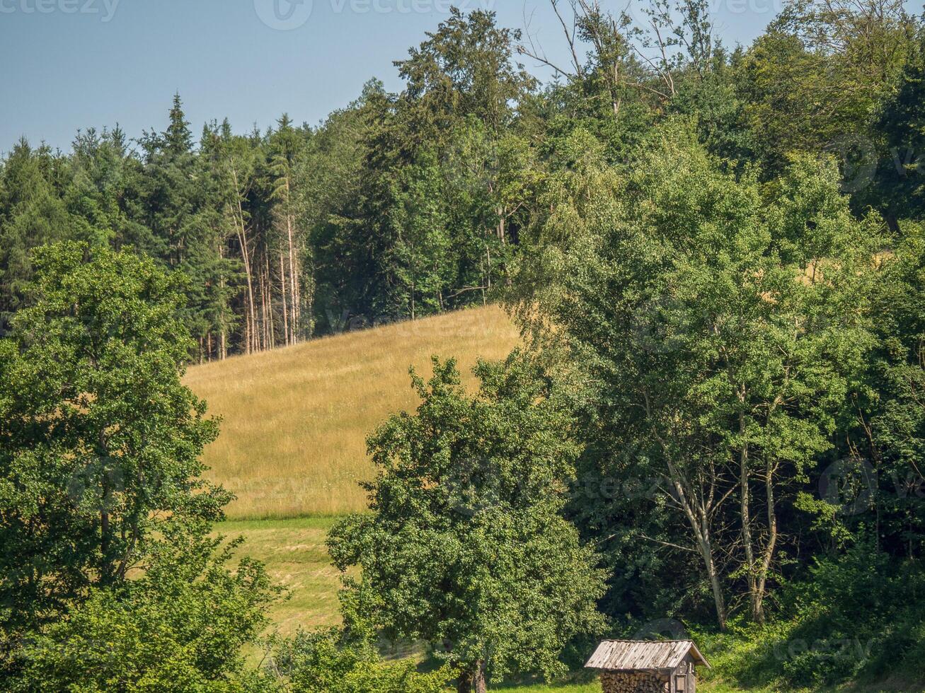 the danube river in austria photo