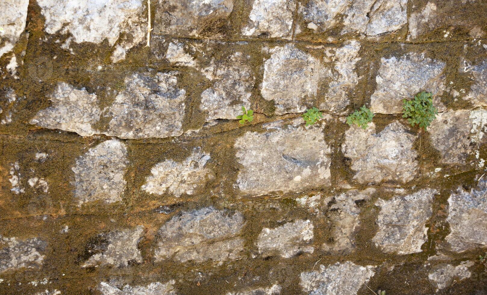 Antique grey old brick wall. Texture. For text photo