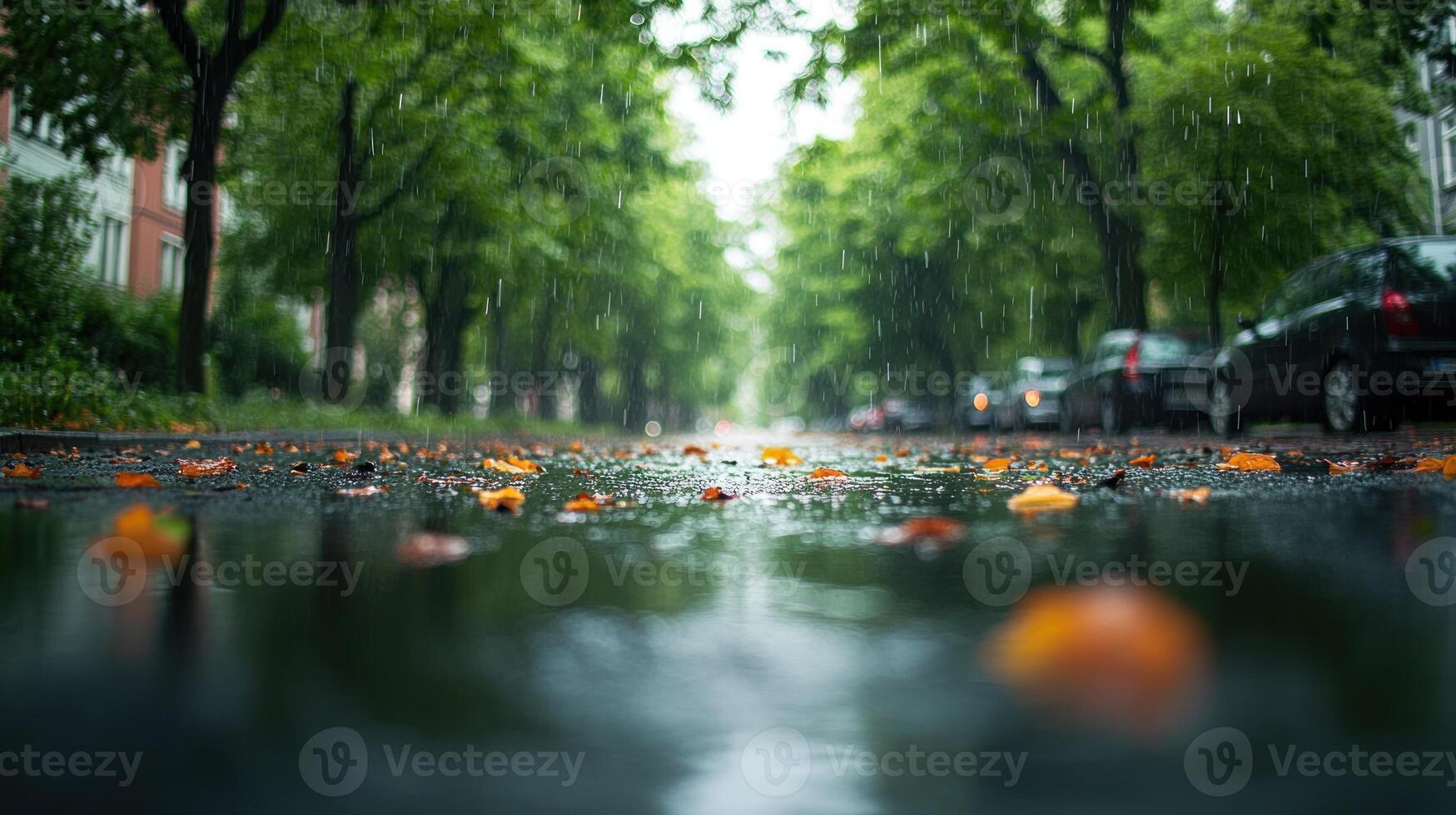 Raindrops fall on a wet street covered with vibrant fallen leaves photo