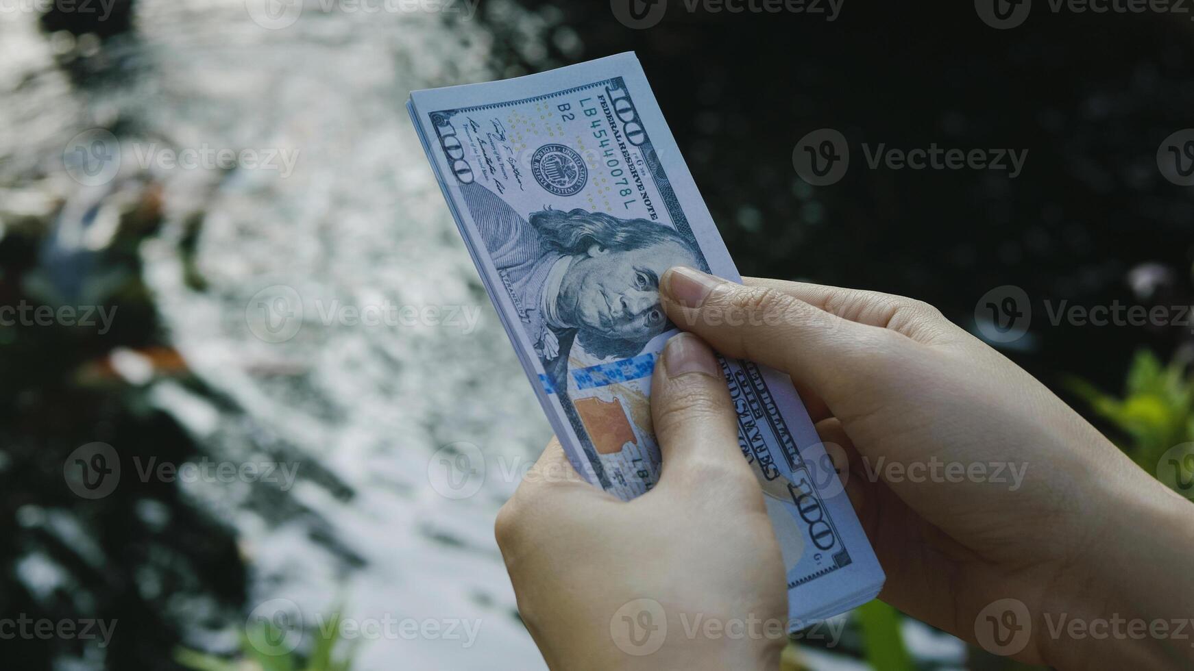 Count dollars, currency, work income, business creation, money and financial investments. financial success photo