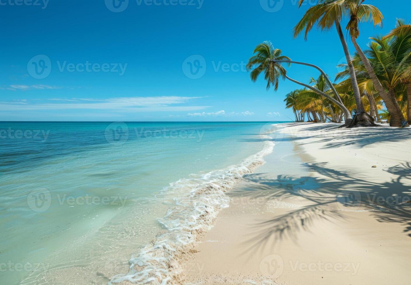 A tranquil beach with soft white sand and clear blue waters, palm trees swaying in the gentle breeze photo