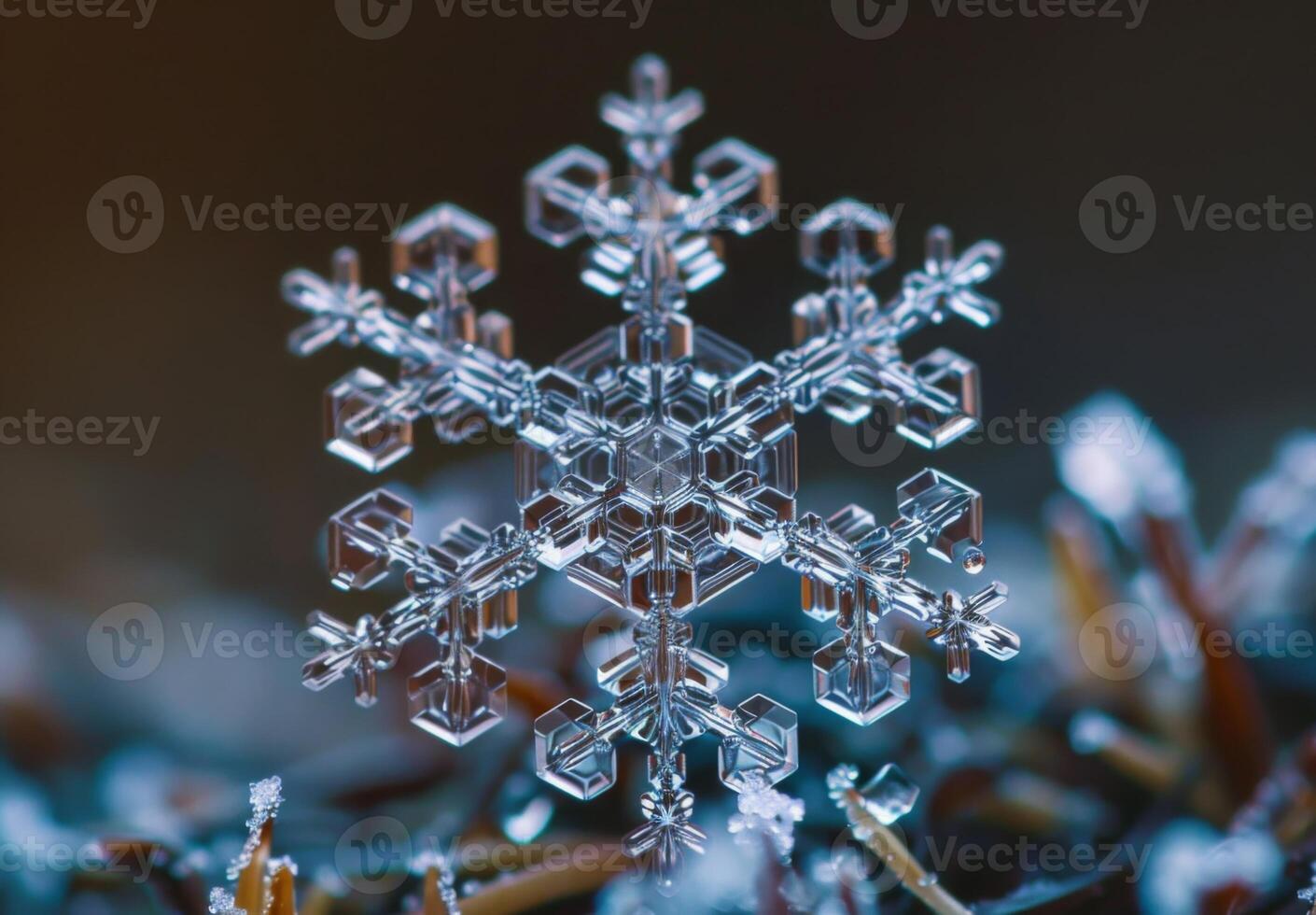 Extreme close-up macro photography of the intricate pattern of a snowflake photo