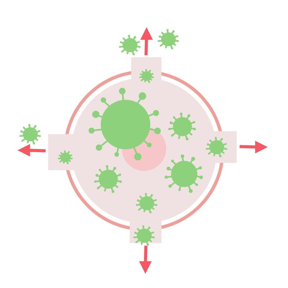 virus growth in cell. viral infection vector