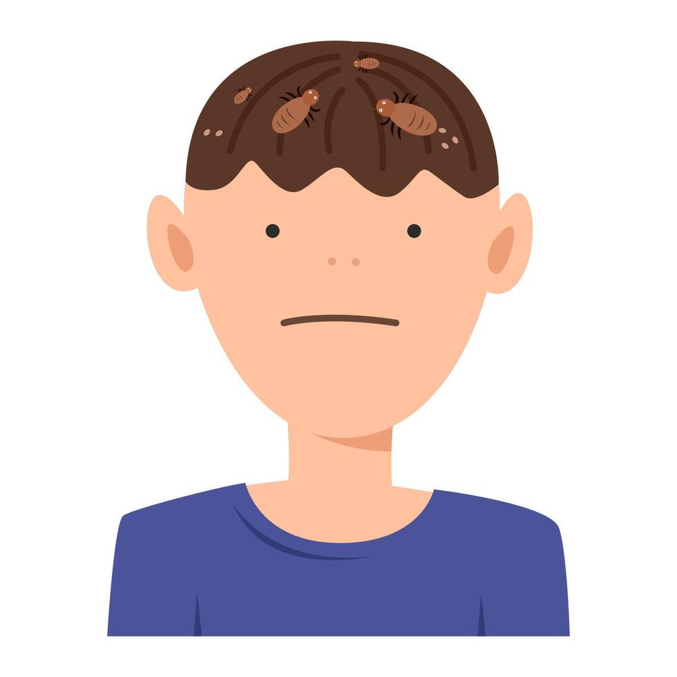 child with louse in hair vector