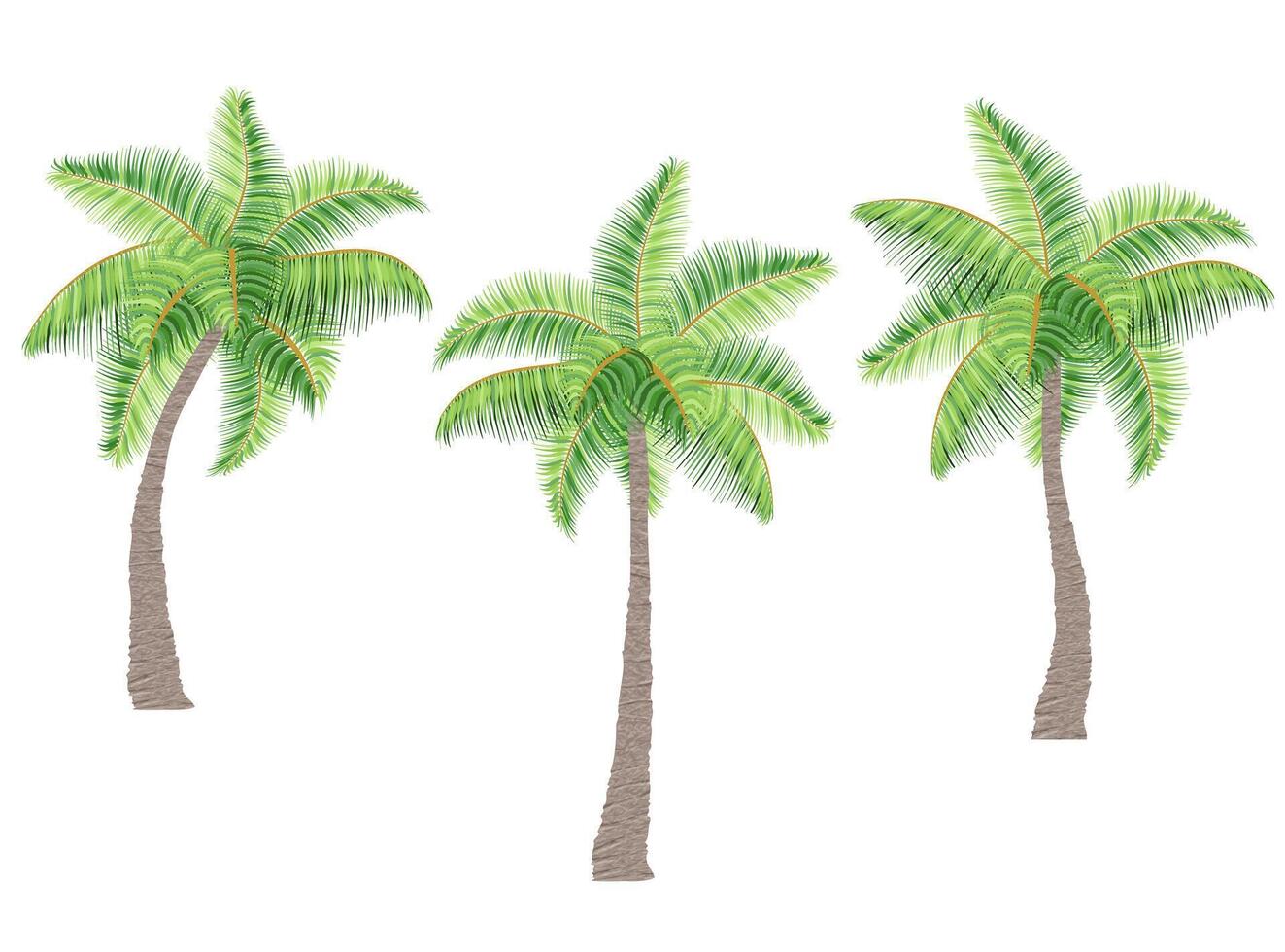 tropical palm tree with green foliage illustration flat style isolated on white background vector