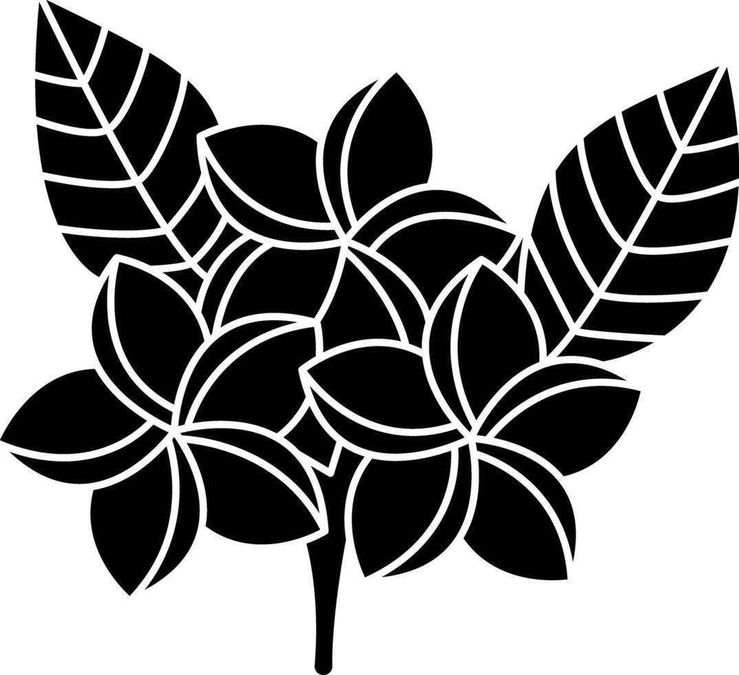 Frangipani flower solid glyph illustration vector