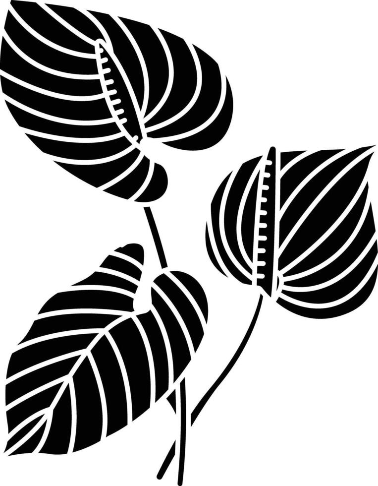 Anthurium flower solid glyph illustration vector