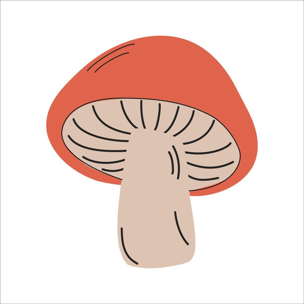 Mushroom illustration. Isolated on a white background. vector