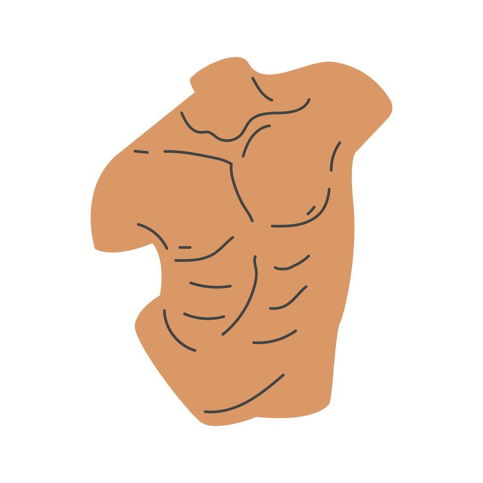 Human body part isolated on white background. Nude headless man torso. illustration in flat style. vector