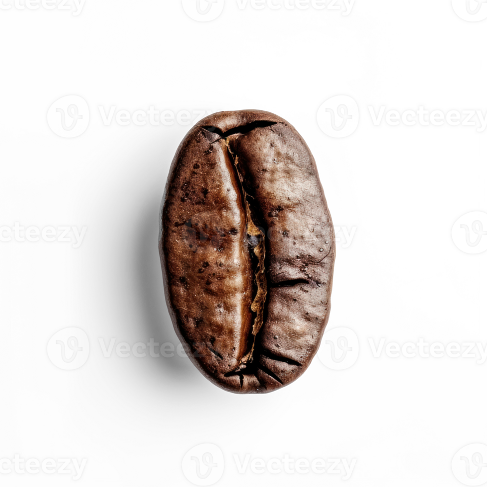 coffee bean on transparent background png