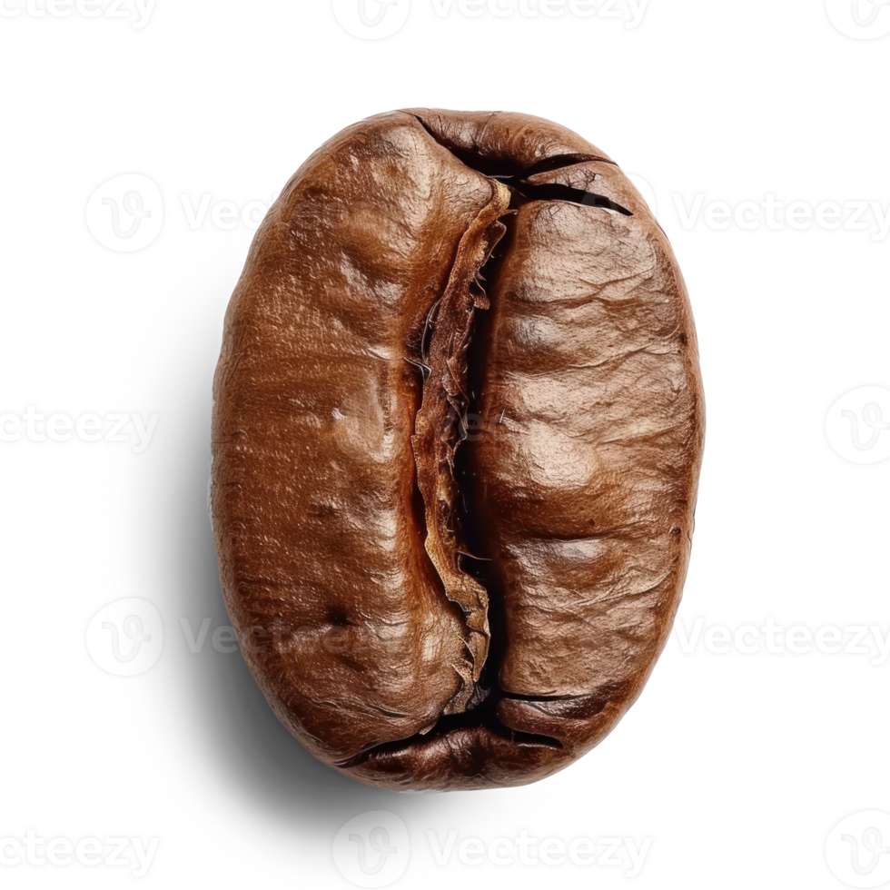 coffee bean on a transparent background png