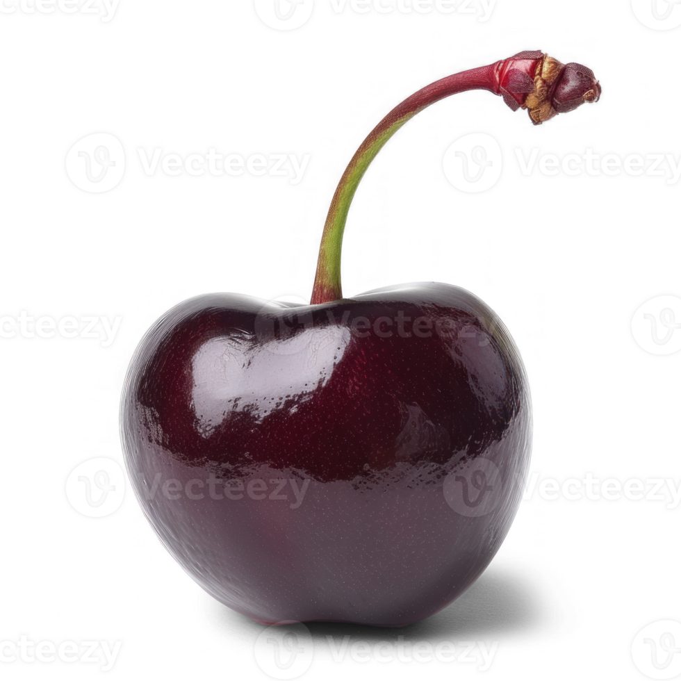 a single cherry on a transparent background png