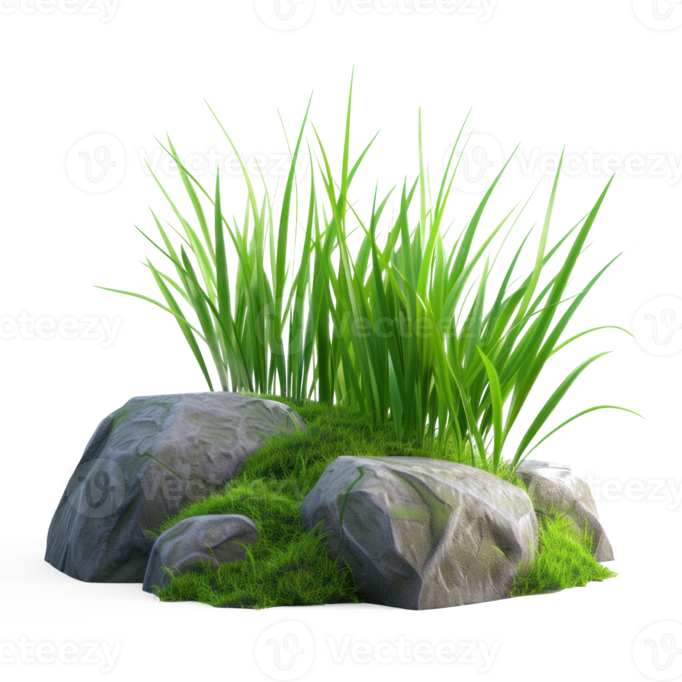 grass and rocks on transparent background png