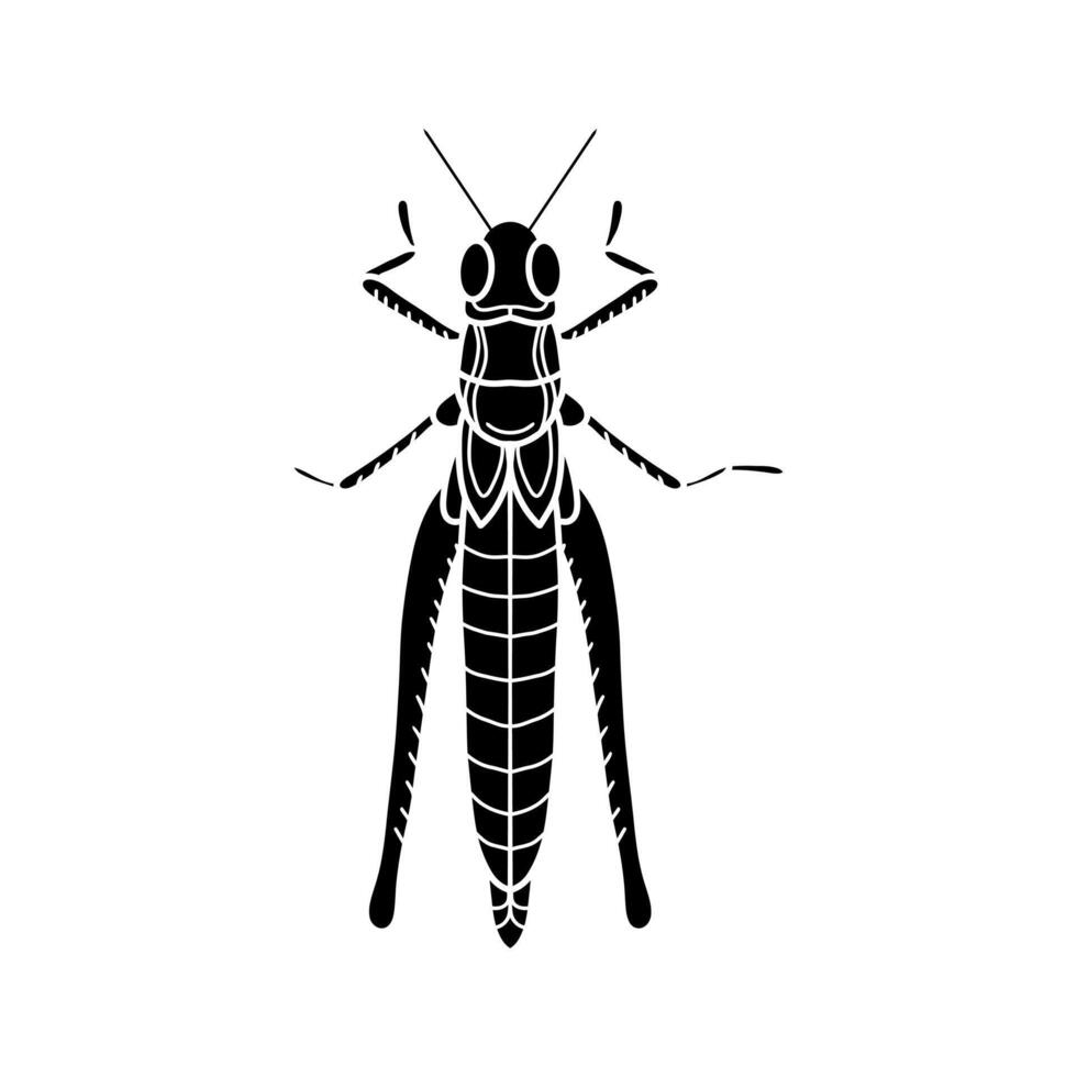 grasshopper black and white illustration. mantis or cricket, insect concept, thin line symbol on white background vector